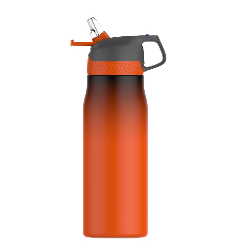 Stainless Steel Travel And Outdoor Bottle